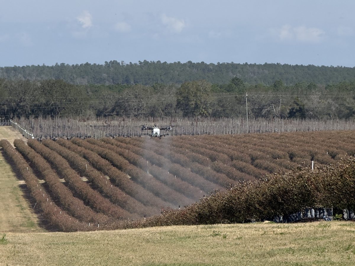 Live spray-drone demo over a field / Demo en vivo del drone de aspersión sobre un campo